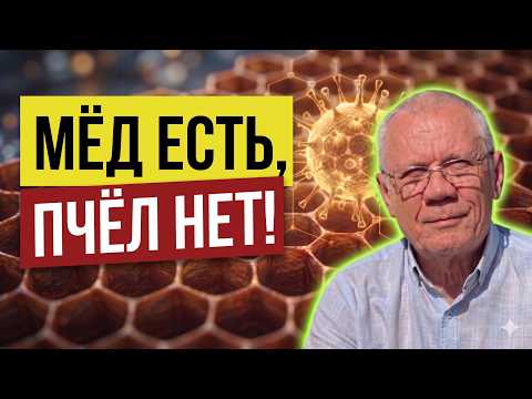 Colony Collapse Disorder: Why do bees leave the hive and not return? The whole truth about viruses
