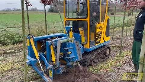 Bare root digging with MDE Globe