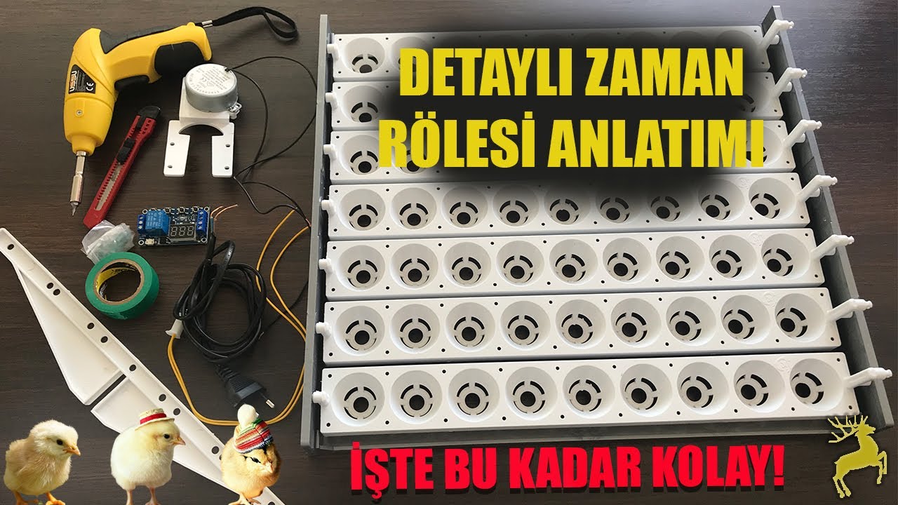 Zaman Rölesine Dair Her Şey Bu Videoda!