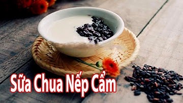 Tự Làm Sữa Chua Nếp Cẩm Tại Nhà - Đơn Giản Mà Ngon | Góc Bếp Nhỏ