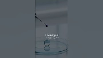 قل متاع الدنيا قليل قرآن كريم السعودية الرياض اليمن صنعاء قطر الدوحة بولندا روسيا مصر الجزائر المغرب