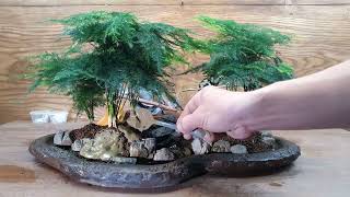 How to create a simple forest miniature