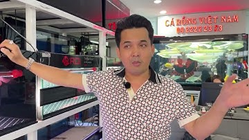 Giải đáp thắc mắc về đèn RDI