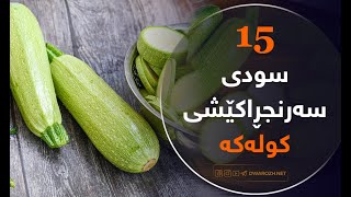 15 سودی سەرنجڕاکێشی کولەکە