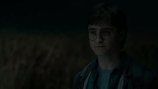 &quot;Nobody else is going to die. Not for me.&quot; | Harry Potter and the Deathly Hallows Pt. 1