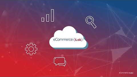 eCommerce Integrations| Cloud Based ERP Integration | eCommerce iLab |