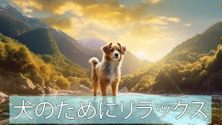 犬のための2時間の深いリラクゼーション音楽!犬を完全にリラックスさせ、睡眠を助ける音楽! by 犬のリラックスタイム 18 views 11 months ago 1 hour, 59 minutes