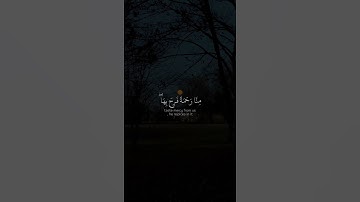 سورة الشورى للقارئ #رعد_الكردي