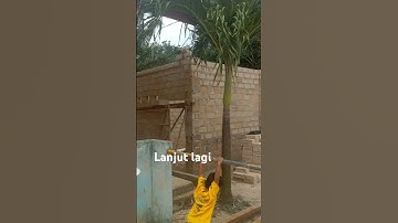 Thumbnail of #song lanjut lagi TPA Al-Muttaqin 062 bukit terak