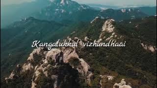 mellisaiye | song | whatsapp status | mel isaiyae | prabhu deva | a r rahman songs