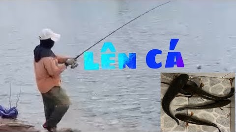 Săn Cá Lóc Đập Sông Ray | Thành Viên Mới Lên Hugo Phút Bù Giờ | Long Chu Du Fishing