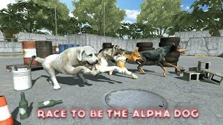 Dog Racing : Dog Games By Puffy Thumb Racing - iTunes/Android screenshot 5