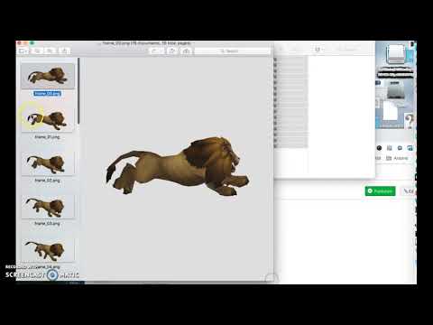Java I Upload Lion Pics