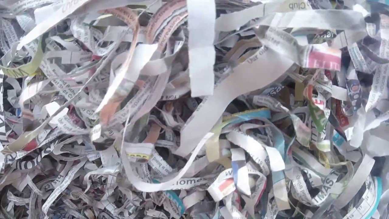 Baby ferrets 2 days old