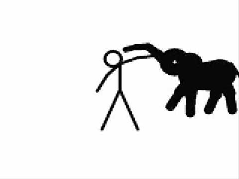 elephant attack