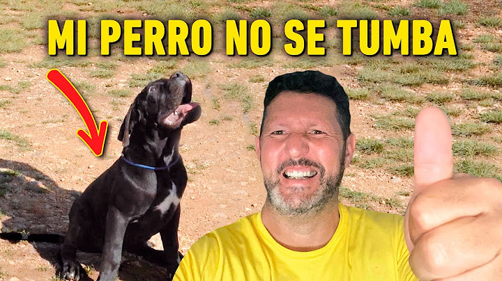 mi PERRO NO se TUMBA