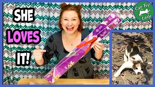 Da Bird/Turkey Chaser Wand Toy and Da Mouse Attachment Review and Playtime