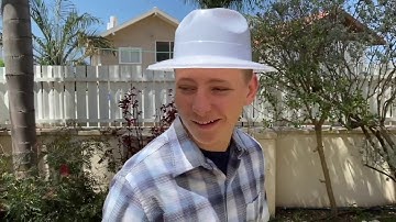 I Want It That Way - Siblings in Quarantine