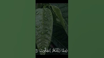 يَدعونَ رَبَّهُم خَوفًا وَطَمَعًا.. الشيخ علي جابر | سورة السجدة #علي_جابر #quran #قرآن