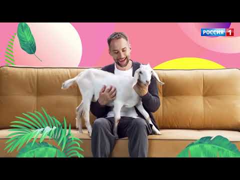 «В кругу друзей».
