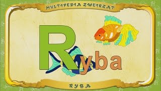Multipedia Zwierząt. Litera R - Ryba