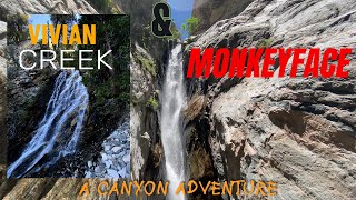 Vivian creek and Monkeyface Canyoneering 2024