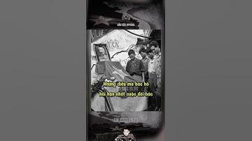 NHỮNG ĐIỀU MÀ BÁC HỒ HỐI HẬN NHẤT CUỘC ĐỜI BÁC…#bảocóc #bảocócvlog #baococvlogboss #shorts #bacho