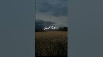 سورة الشعراء|77ـ89|القارئ:#ياسر_الدوسري #قران #quran #راحة_نفسية #قران_كريم #تلاوه #تلاوة_هادئة #آية