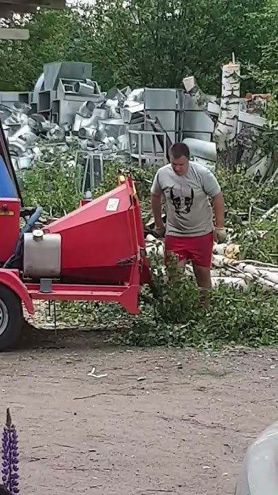Машина превращает ветки в опилки.The machine turns branches into ...