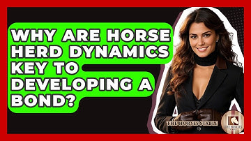 Why Are Horse Herd Dynamics Key To Developing A Bond? - The Horses Stable