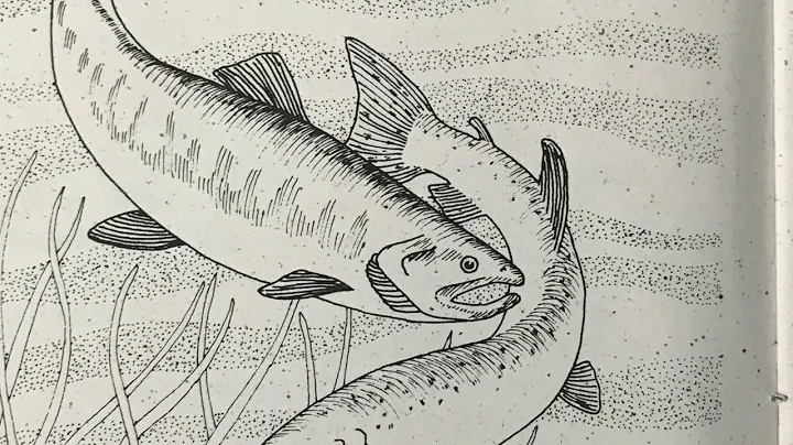 Six Nations Thanksgiving Address