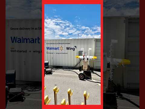 Walmart Wings