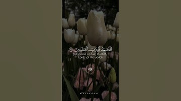 سورة الفاتحة بصوت الشيخ عبدالبديع غيلان.. #قرآن #تلاوات#اكسبلور #ترند #مساء_الخير