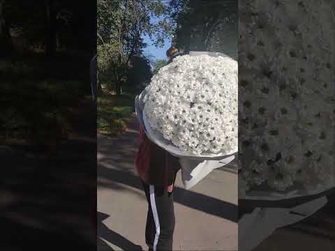 Я знаю все можливо Букет білих хризантем для коханої Imperiyakvitiv3361