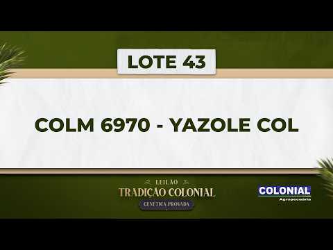 LOTE 43    COLM 6970   YAZOLE COL