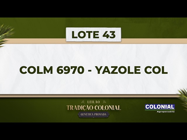 LOTE 43    COLM 6970   YAZOLE COL