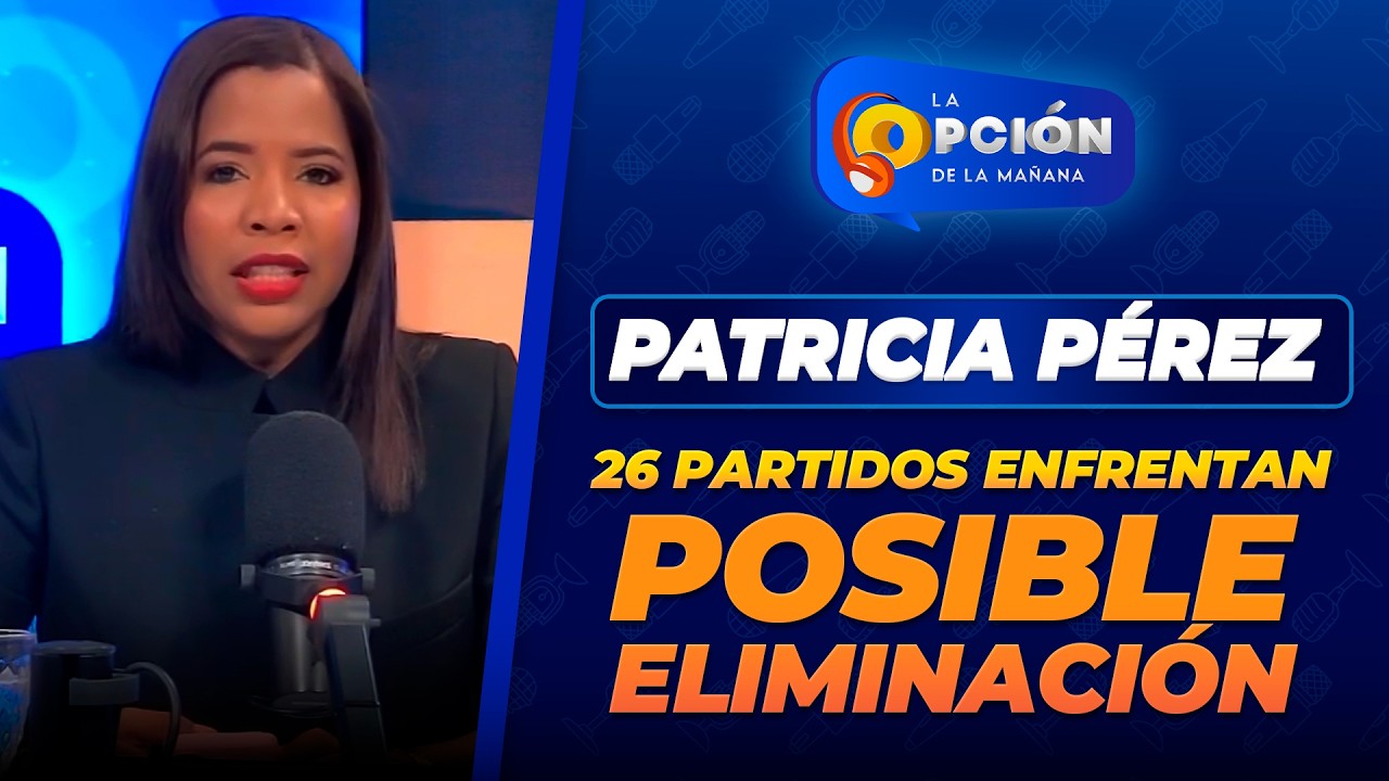 Demanda busca eliminar 26 partidos políticos sin suficiente apoyo electoral