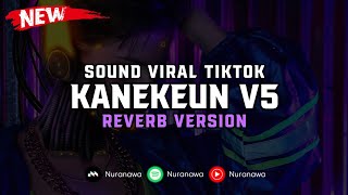 DJ Kanekeun V5 ( Reverb Version ) 🎧