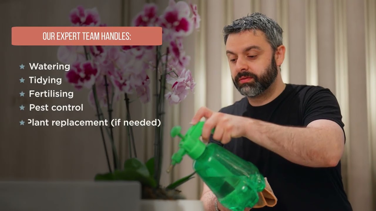 Miei Plant Subscription