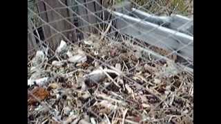 iBAKE University Online Compost Demo