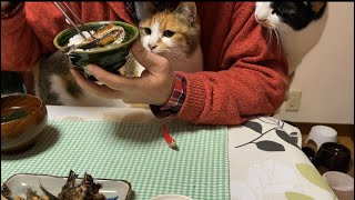 朝ごはんと豆まきと住職の夜ごはん。