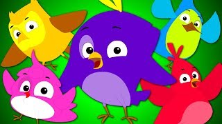 five little birds nursery rhymes kids song video for babies and preschoolers