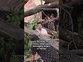 Man captured on camera launching into the sky during wind event | #india