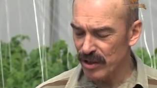 Сад и огород. Посев семиян и овощей 2015 документальный онлайн Сад и огород. Посев семиян и овощей 2015 документальный онлайн