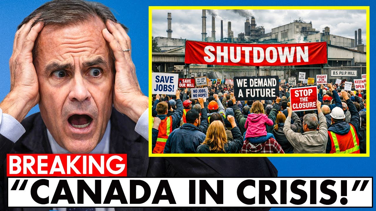 Canada IN CHAOS As B.C. Saw Mill Closure Leads To MASSIVE LAYOFFS! CARNEY THROWS TANTRUM!
