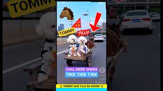 टॉमी और टिल्लू का घोड़ा टिक टिक 😄 Cute and funny dogs video 🐕 #dog #pets #puppy