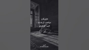 ماذا سيحدث عندما تشهد علينا جلودنا ؟ قراءة مؤثرة سورة فصلت