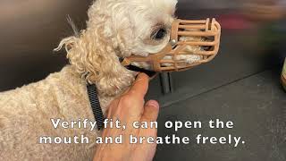 Basket Muzzle for Dogs