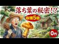 庭でマツタケを栽培する里山の秘密！菌根菌（ウッドワイドウェブ）の育て方 #家庭菜園 #自然農法 #マツタケ