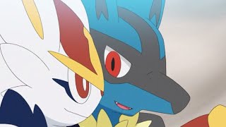 Cinderace and Lucario' s Cute,Funny,Cool Moments From Pokemon Journeys Ep 48.